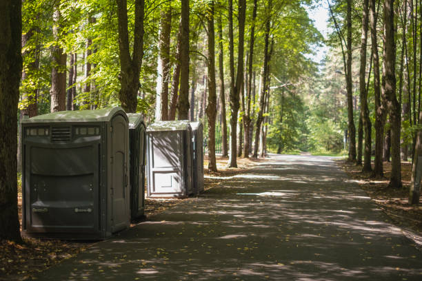 Trusted Bagley, MN porta potty rental Experts